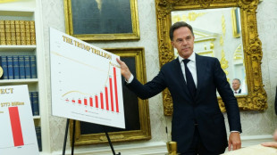 Daddy issues? NATO's Rutte sticks to charm to keep Trump on side