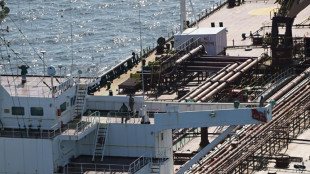 French navy boards Russia 'shadow fleet' ship, arrests two