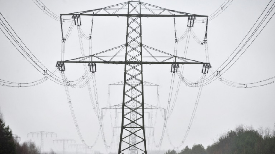 Brandstiftung an zwei Hochspannungsmasten in Berlin: Zehntausende ohne Strom