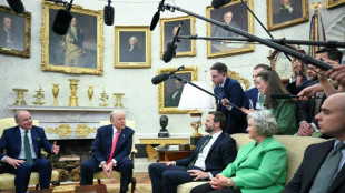 Trump empf&auml;ngt Irlands Regierungschef Martin im Wei&szlig;en Haus - Kritik an Handelsdefizit