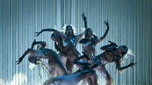 Eurovision triggers betting interest surge