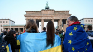 Vor Berliner Ukraine-Treffen: Deutsche Außenpolitiker fordern starke Rolle Europas