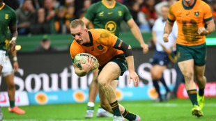 Schmidt demands 'start-to finish' Wallabies performance against Pumas