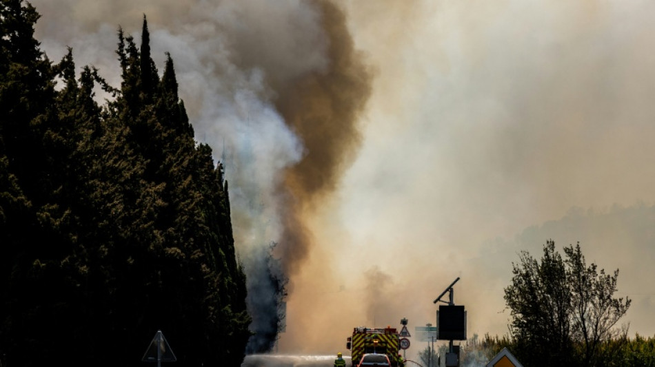 France wildfires burn twice as much land as last year: official