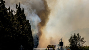 France wildfires burn twice as much land as last year: official