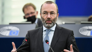 EVP-Chef Weber fordert Einreiseverbot f&uuml;r russische Touristen