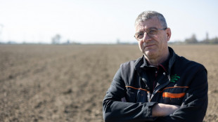 "Je ne peux pas produire à ce prix-là": le plus gros maraîcher du Grand Est cesse sa production