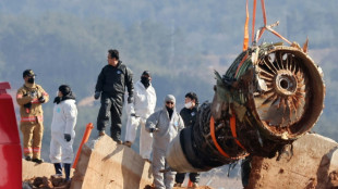 Cor&eacute;e du Sud: les enqu&ecirc;teurs commencent &agrave; retirer la carcasse du Boeing de Jeju Air