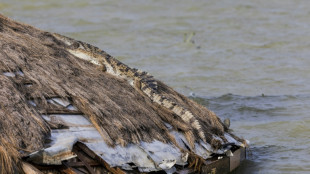 Kenya: les eaux des lacs montent, les populations &agrave; la merci des crocodiles
