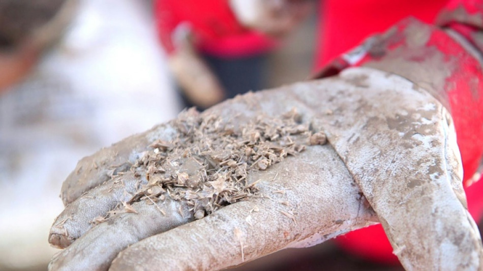 L'&eacute;pave d'un navire vieux de plus de 3.000 ans d&eacute;couverte au large d'Isra&euml;l