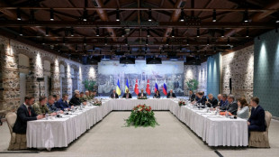 Nuevas negociaciones directas en Estambul entre Rusia y Ucrania