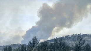 Incêndio florestal de grandes proporções deixa 1 morto e 13 feridos na França