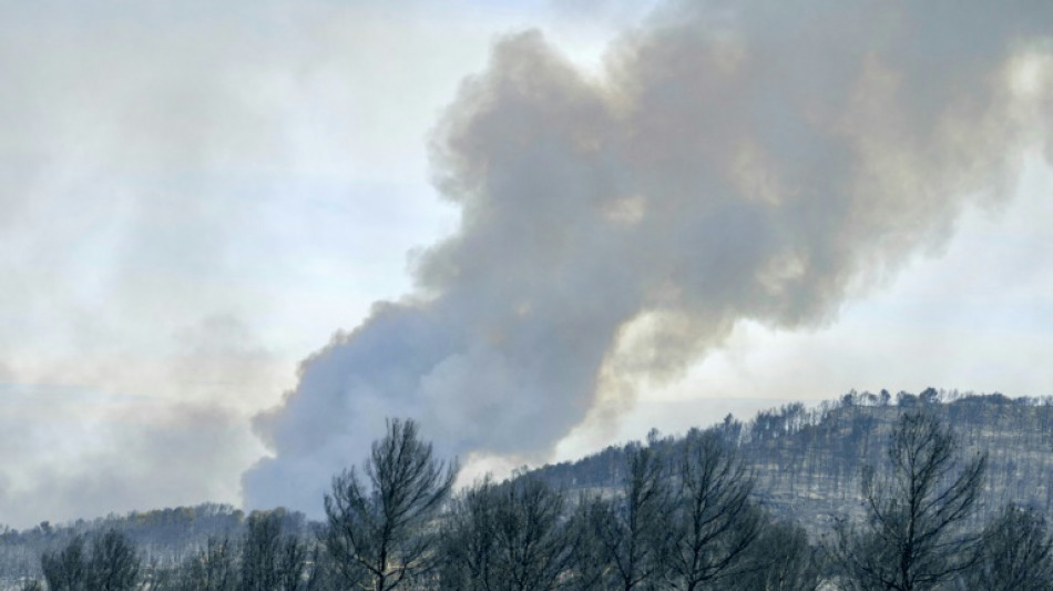 Um morto e nove feridos em grande incêndio florestal na França