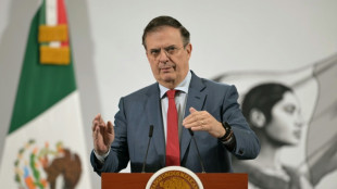 Invertir&aacute;n 3.700 millones de d&oacute;lares para una "ciudad digital" y una planta de fertilizantes en M&eacute;xico