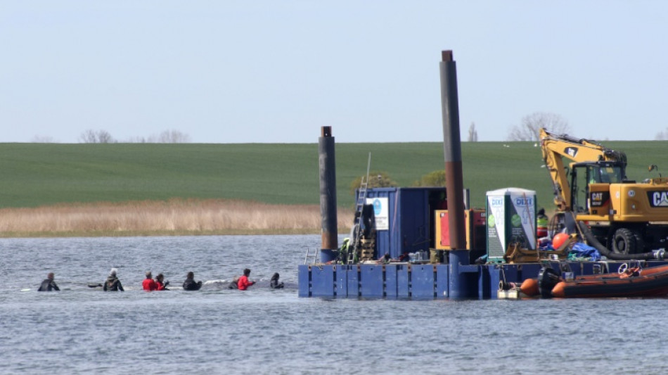 Transport in Richtung Nordsee geplant: Buckelwal in Frachtkahn geschwommen