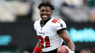 Former NFL star Brown wanted for attempted murder: police