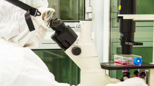 Neuroblastoma, studio Bambino Gesù dimostra efficacia cura Car-T