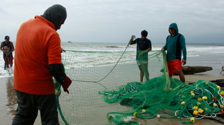 Un El Ni&ntilde;o exceptionnel entra&icirc;ne des temp&eacute;ratures in&eacute;dites dans le Pacifique
