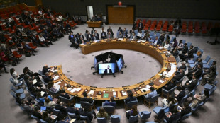 UN-Sicherheitsrat ber&auml;t zu Israels Pl&auml;nen f&uuml;r Ausweitung von Einsatz im Gazastreifen