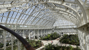 Une nouvelle esp&egrave;ce de n&eacute;nuphar g&eacute;ant d&eacute;couverte &agrave; Kew Gardens