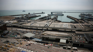 EU automated border system suspended at Dover amid bank holiday chaos