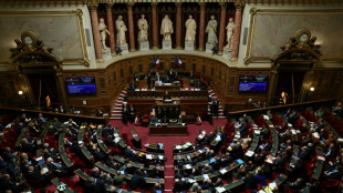 La "loi sp&eacute;ciale" pour pallier l'absence de budget pour 2025 promulgu&eacute;e