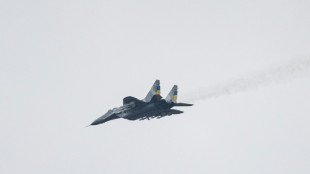 Slowakei will wie Polen MiG-29-Kampfjets an die Ukraine liefern