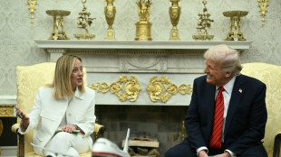 Trump talks up EU tariff deal as Italy's Meloni visits