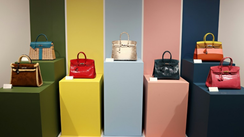 Herm&egrave;s denuncia a artista estadounidense que vende NFT con la forma del bolso Birkin
