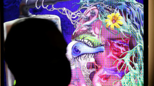 Las subastas de arte contempor&aacute;neo batieron r&eacute;cords el a&ntilde;o pasado