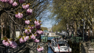 Paris vote son troisième plan biodiversité en misant sur les haies