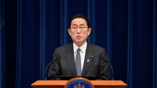 Le Japon veut acc&eacute;l&eacute;rer la relance du nucl&eacute;aire