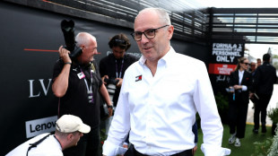 Domenicali &uuml;ber Verstappen-Kritik: "Verstehe Kommentare"