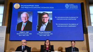 Le Nobel &agrave; deux Am&eacute;ricains pour leurs mod&egrave;les permettant de stabiliser les fluctuations de l'&eacute;conomie