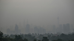 Haze triggers highest-level alert in parts of Southeast Asia