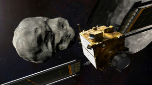 Como a Terra se prepara para o poss&iacute;vel impacto de um asteroide