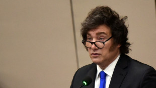 Milei atribuye a "p&aacute;nico pol&iacute;tico" en Argentina la tormenta en los mercados financieros