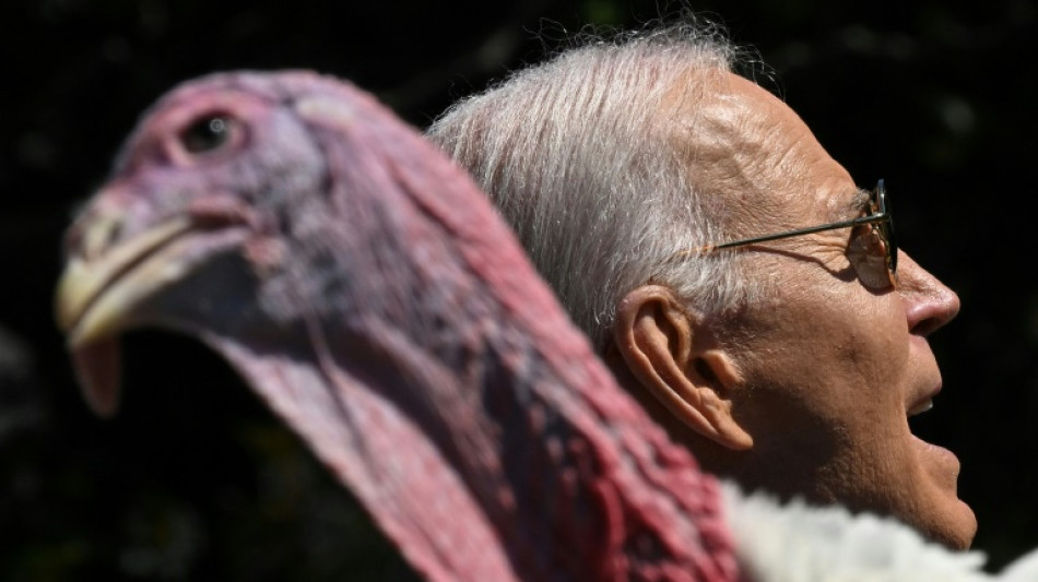 'Mantenha a calma e continue grugulejando', diz Biden em &uacute;ltimo perd&atilde;o a peru de A&ccedil;&atilde;o de Gra&ccedil;as