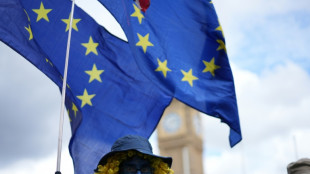 Possible retour du Royaume-Uni dans l'UE: la musique change, mais Bruxelles attend les paroles