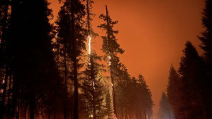 Un gran incendio forestal contin&uacute;a su avance en Oregon, EEUU