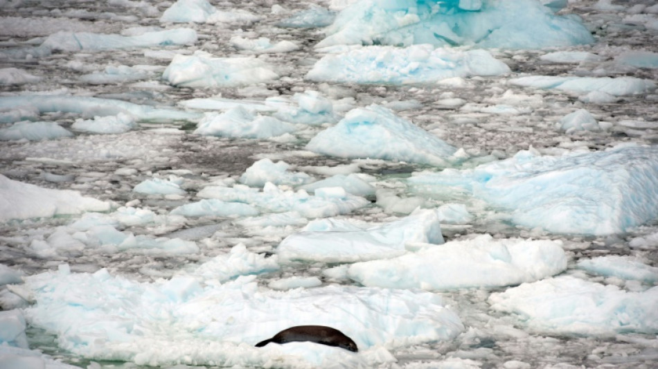 R&eacute;cord de reducci&oacute;n estival de la capa de hielo en el Oc&eacute;ano Ant&aacute;rtico