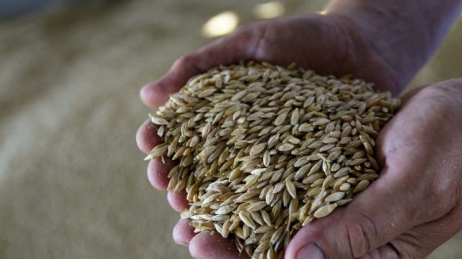 R&uacute;ssia quer redefinir as rotas do trigo