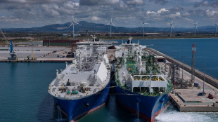 Ue, 'fornitura energetica resta stabile, nessuna emergenza'