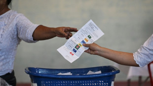 UN expert urges world to reject Myanmar 'sham' election