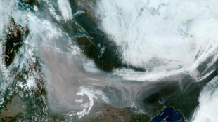 La fum&eacute;e des incendies fait tousser les Canadiens mais refroidit les brasiers