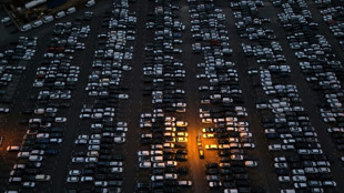 Germany's US exports hit four-year low as tariffs bite