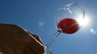 Face au r&eacute;chauffement climatique, le vignoble alsacien s'essaie au c&eacute;page Syrah