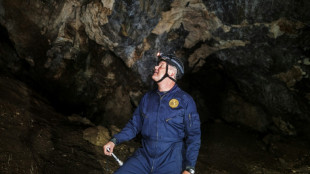 Afrique du Sud: Lee Berger, chasseur de fossiles controvers&eacute;