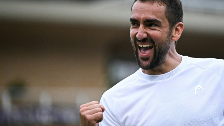 Wimbledon's underdogs enjoy their week in the sun