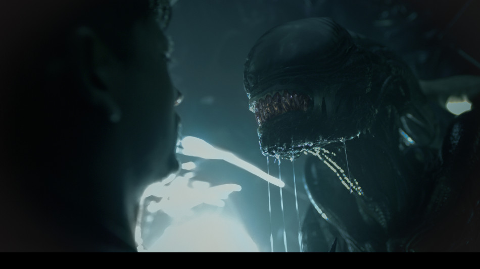 Alien Romulus, la paura nello spazio &eacute; pi&ugrave; grande